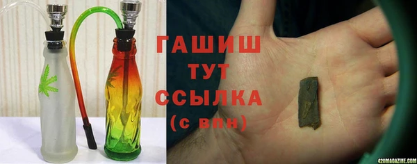 прущие грибы Надым