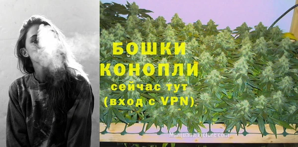 экстази Гусев